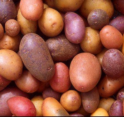 potato1.jpg