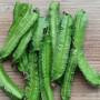 winged_bean_3.jpg